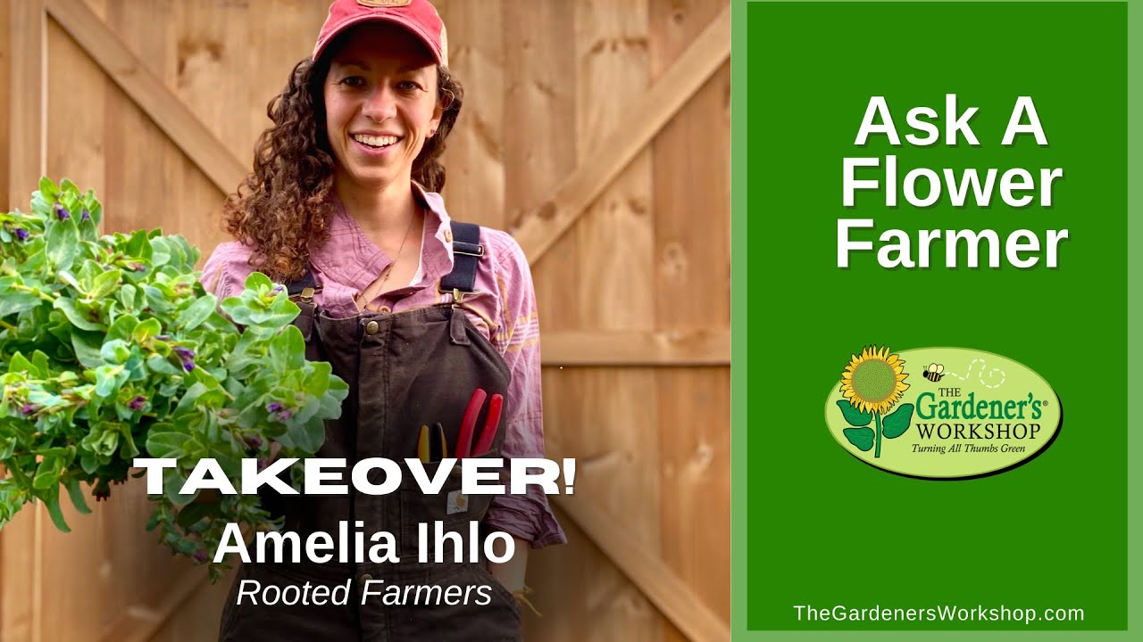 Replay: Ask a Flower Farmer Takeover with Amelia Ihlo of Rooted Farmers