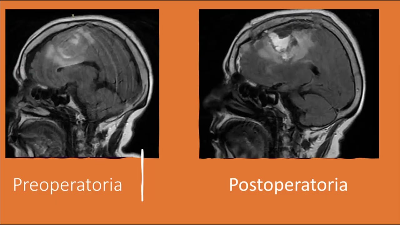 Gerardo Barajas Llanes-23