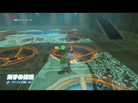 [Individual Levels] Dueling Peaks Shrines: Any% - Shee Venath in 10.82 seconds