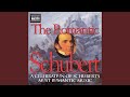 Symphony No. 8 in B minor, D. 759, "Unfinished": II. Andante con moto