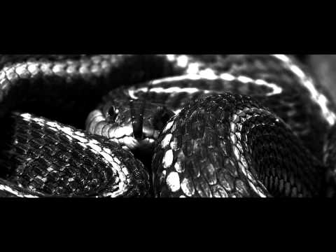 Dan Talevski - Guilty As Sin (Explicit Version)