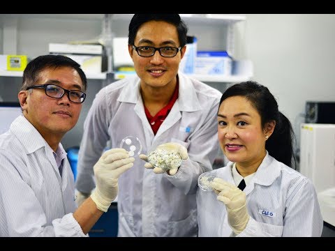 Using collagen from fish scales to heal wounds