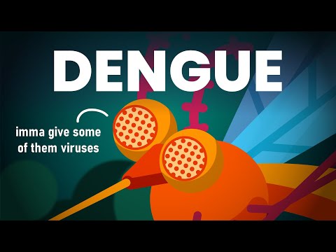 What is Dengue Fever: How can you get infected?