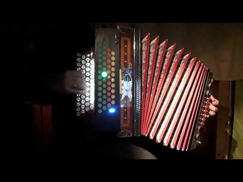 Wohl in da Wiedaschwing | GCFB | Steirische Harmonika