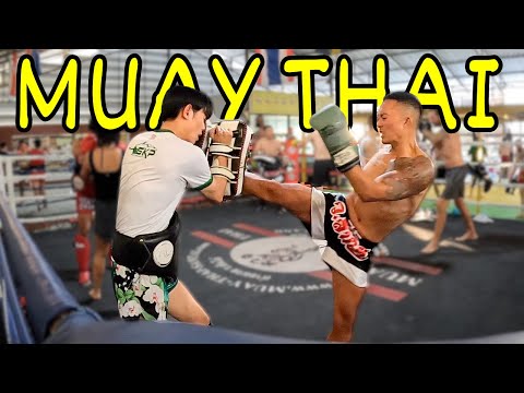 I AM BROKEN! BRUTAL 14-Day Muay Thai Training Camp