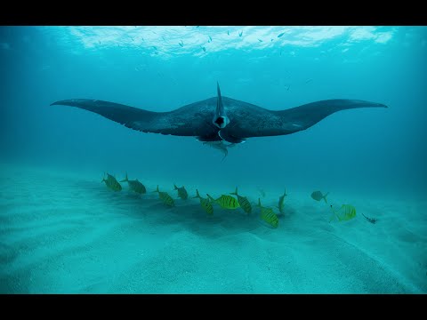 Expedition Western Australia: Ningaloo Reef