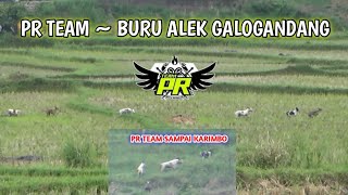Download lagu PR TEAM || BURU ALEK TANAH SIRAH GALOGANDANG TANAH DATAR mp3