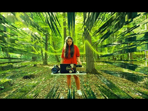 rwna | Microhouse dans La Forest