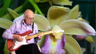 Bunga Anggrek -  Emillia Contessa &amp; Broery Pesulima - Instrumental cover by Dave Monk