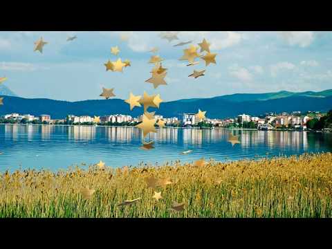 ARBEN COLLAKU (Zdrafko) - PARKU RINIA