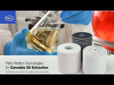 Pall’s Filtration Technologies for Cannabis Oil Extraction