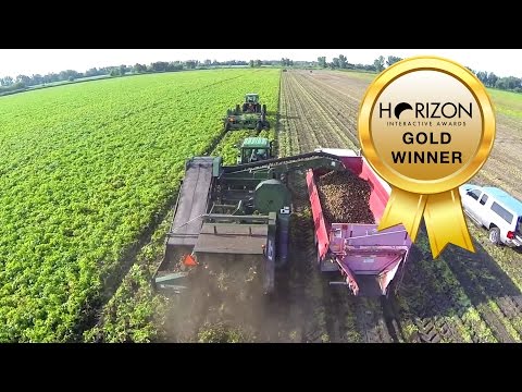 Better Made - 2014 Potato Harvest and Plant Aerial