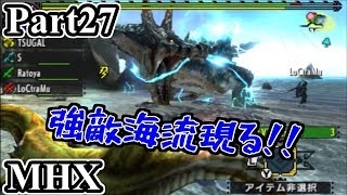 Part27仲間なんていない。モンスターハンタークロス実況