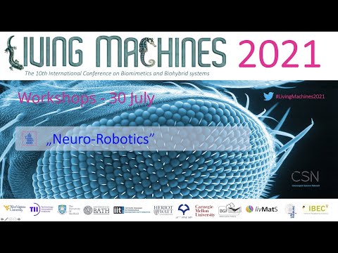 Neuro-Robotics. Workshop LM2021