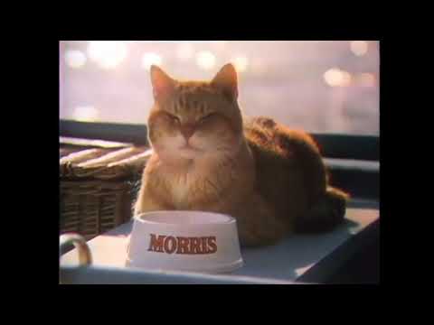 '9-Lives Presents Morris' Commercial (1977)