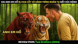 Hai Anh Em Hổ Bị Chia Cắt Và Hành Trình Đoàn Tụ Đầy Xúc Động | Review Phim