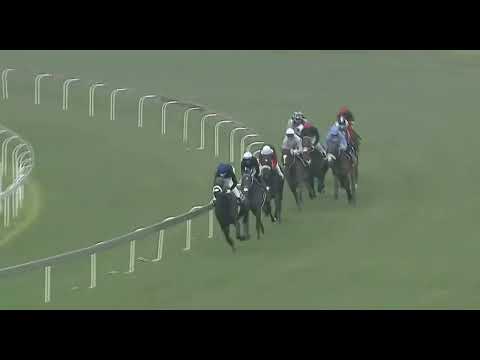 RAIN IN HOLLAND - 2022 Gr1 Wilgerbosdrift SA Fillies Classic