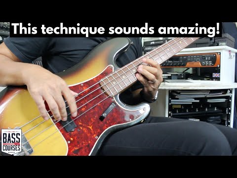 Bass 'Double Stops' // What They Are & How To Use Them