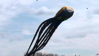 preview picture of video 'Giant Octopus flying high over Graf Park in Wheaton, IL'