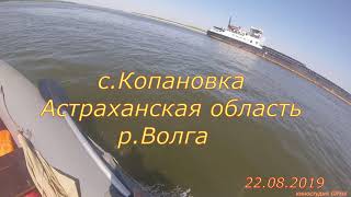 Сом как ловить сома на квок волга