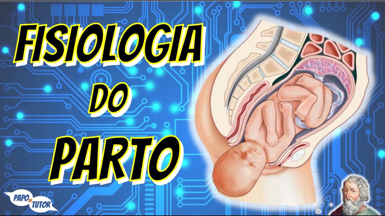 Fisiologia do Parto - Papo de Tutor #27