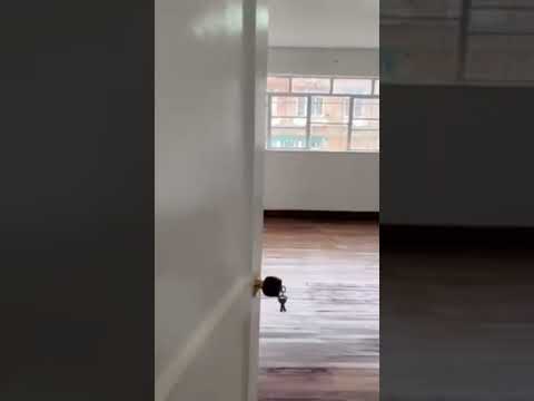 Apartamentos, Alquiler, Bogotá - $1.350.000
