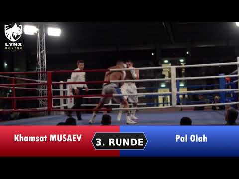 ProBoxing Fight - Khamsat Musaev vs. Pal Olah - at Pound4Pound League Event 27.9.25 Traun/Linz