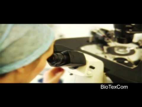 Die Schweizerin hat mit 66 Jahre Zwillinge zur Welt gebracht.