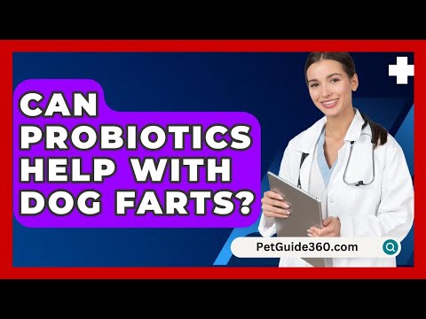 Can Probiotics Help With Dog Farts? - PetGuide360.com