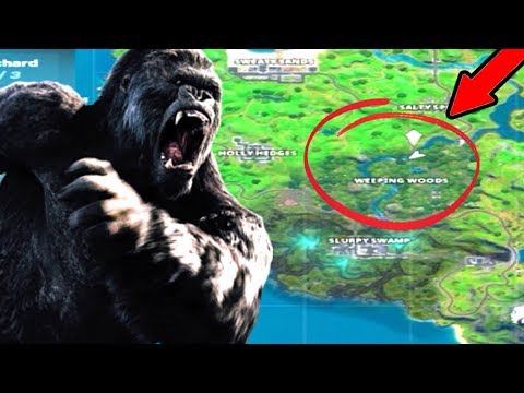 Fortnite X Downtime