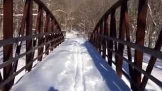 preview picture of video 'Daniel Wright Woods near Lake Forest, IL'