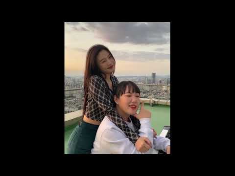 박문치와 만난 레드벨벳 조이 근황 (바라봐줘요)