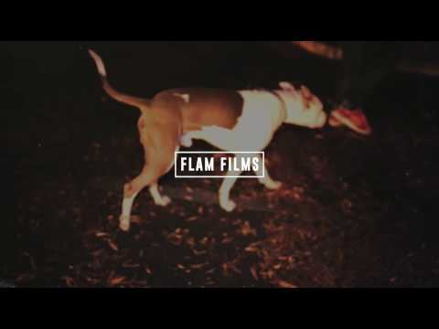 Dolla Dave (Feat. Bank) - DOLLASTYLE #2 (Official Video)