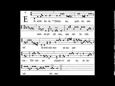 OFFERTORIUM - Exaltabo te Domine quoniam suscepisti me