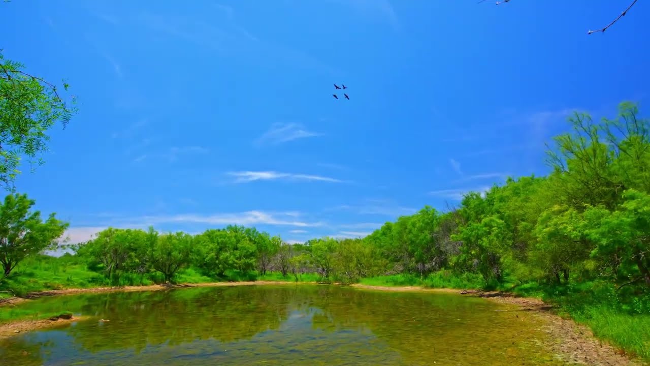 Rutherford Frio Town Ranch