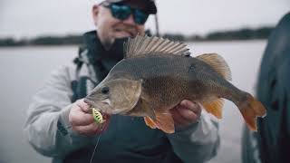 Wobler Rapala X-Light Crank Shallow Runner 03_PW