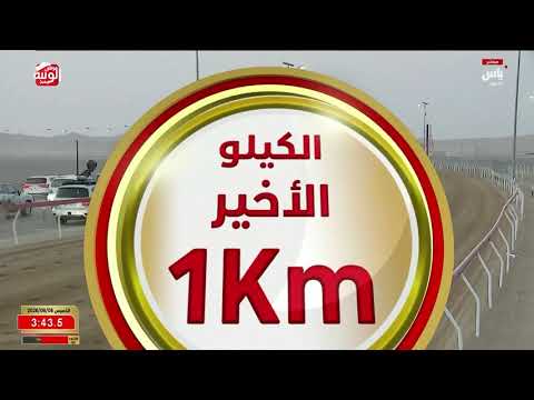 ش 1 (فرح) لـ البخيت جابر بن مسلم الجنيبي 6:13:89 ، مهرجان العين 2026/08/06 إيذاع الروضة