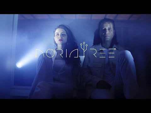 Noria Tree - Video 04