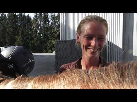 MUSTANG MAKEOVER 2018 Team Marie - INTERVIEW