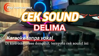 Download lagu CEK SOUND DANGDUT FULL BASS CLARITY || DELIMA KARAOKE TANPA VOKAL TERBARU 2025 mp3