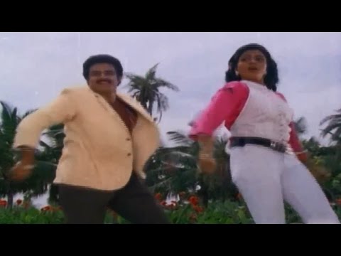 Tiragabadda Telugubidda Movie || Neevu Visaraku Video Song || Balakrishna, Bhanu Priya