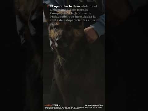 Allanamiento en La Capuera termina en la desarticulación de una boca de drogas y la detención de ...
