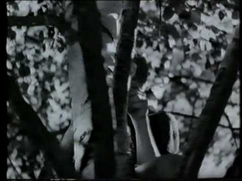 Mästerdetektiven Blomkvist 1947: Den Röda och Vita Rosen