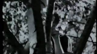 Mästerdetektiven Blomkvist 1947: Den Röda och Vita Rosen