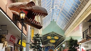 Omotecho Shopping Street | Okayama Japan 表町商店街 岡山