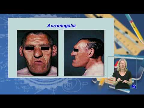 #TeleŞcoala: Biologie clasa a XII-a - Glandele endocrine (@TVR2)