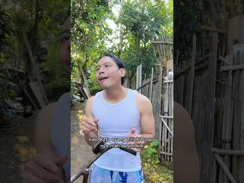 tangga-selain-kutu-buku-juga-suka-yang-unyu