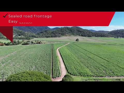1213 Mirani-Mount Ossa Road, Dows Creek, QLD 4754, 4部屋, 1バスルーム, Lifestyle Property