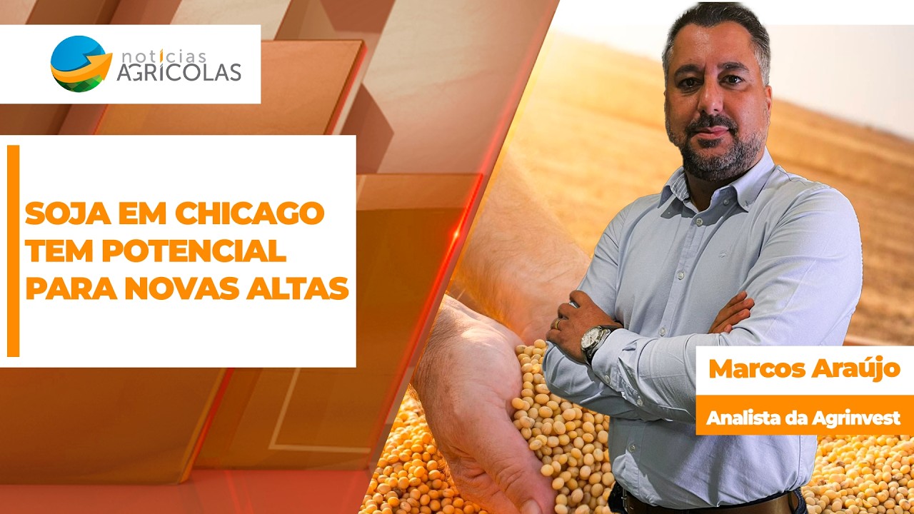 Soja tem espaço para novas altas em Chicago e conferir oportunidades ainda melhores ao Brasil