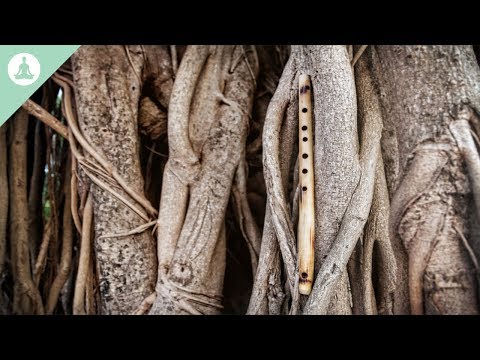 Bamboo Flute Music, Asian Music, Meditation, Relaxing